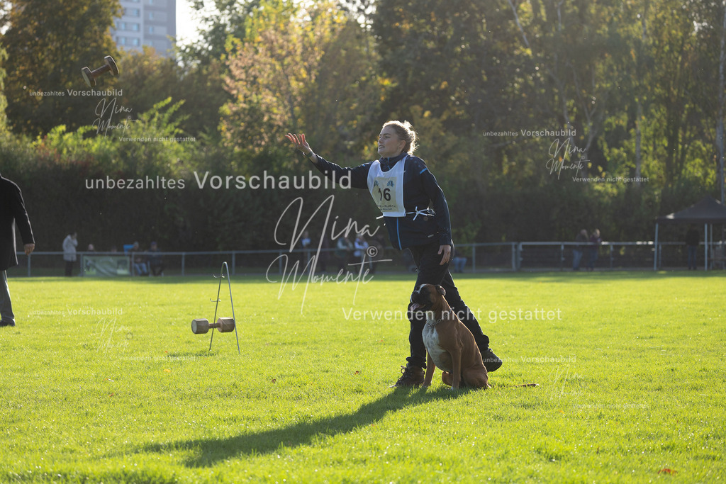 _16A4804 | Einzigartige Fotos von Hunden & Menschen –Actionfotos, Portraits, Vereinsaufnahmen & Paarshootings – authentisch, lebendig & mit Herz.