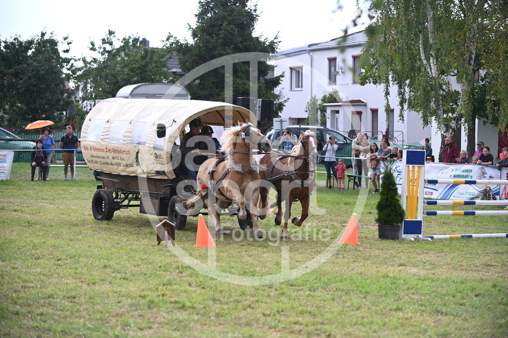 DSC_8696 | sattelsport - Realisiert mit Pictrs.com