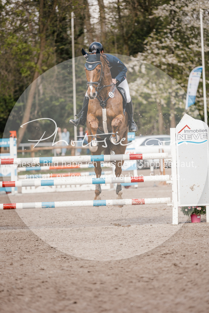 3I6A4315 | Stimmungsvolle Portraits und Reitsportfotografie im Ruhrgebiet und im Münsterland.

Pferdefotografie, Hundefotografie, Tierfotografie, Reportagen, Portraits von Tier und Mensch, Turnierfotografie in Bochum, Recklinghausen, Marl, Haltern am See, Dülmen.. - Realisiert mit Pictrs.com