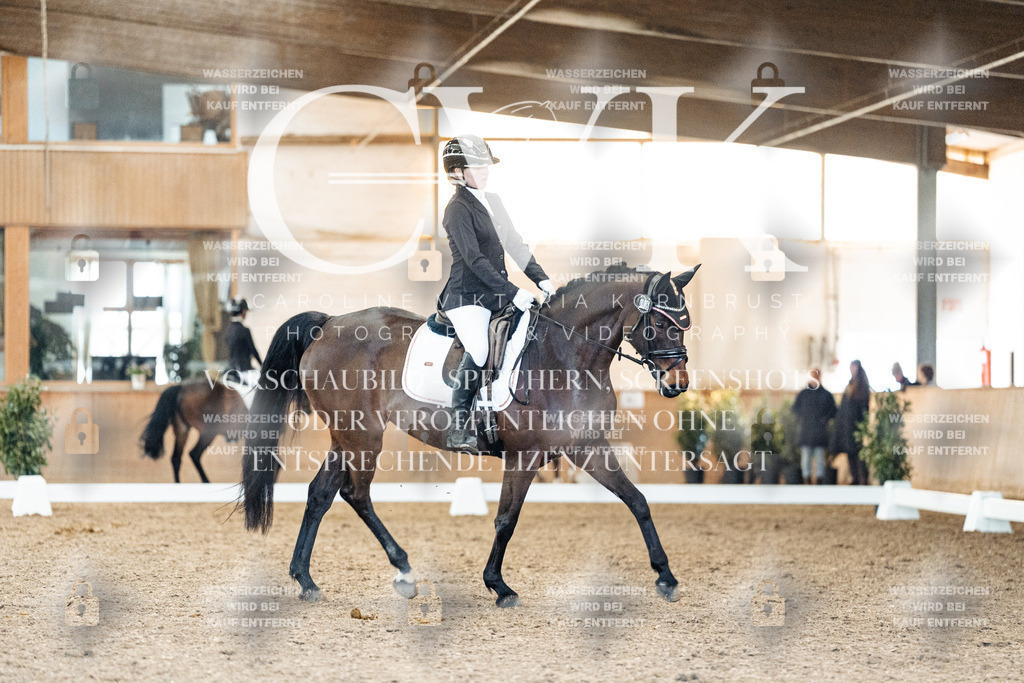 CK907972 | Turnierfotografie Pferdefotografie Trier Rheinland-Pfalz Pferdesport Reitsport Tierfotografie Sportfotografie Pferdevideo Pferdevideografie Equestrianvideography equestrianphotography  - Realisiert mit Pictrs.com