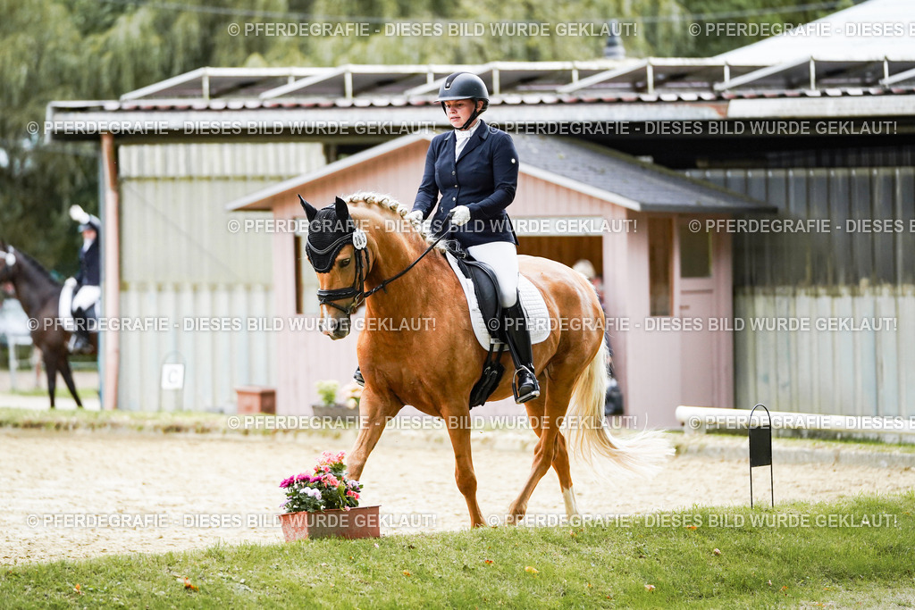 DSC00658 | Pferdegrafie