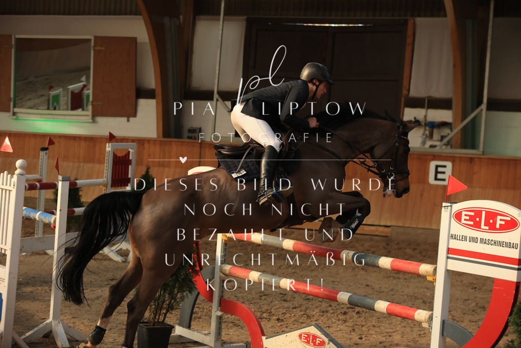 IMGT1227 | pl-fotografie