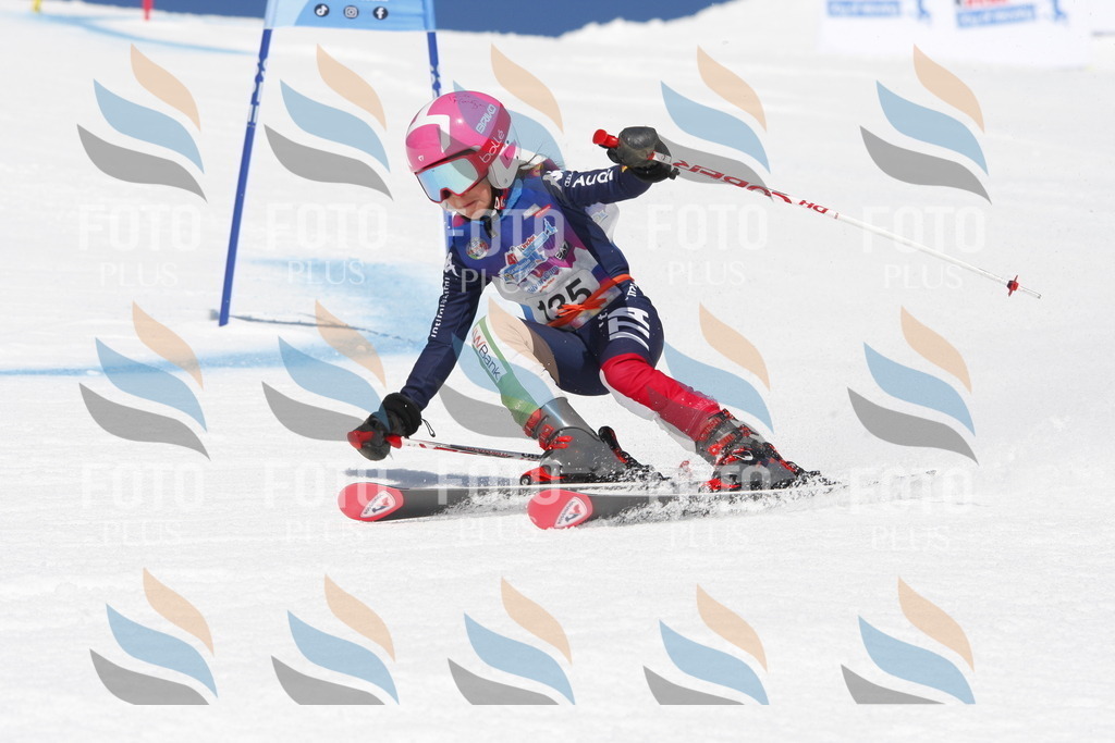 _W1G2034 | holidayphoto