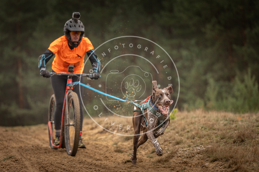 Pfotenfotografie_DV3A4584 | Hundefotografie, Tierfotograf, Pfotenfotografie, Fotoshooting Hund, Hunde Portrait, Hundesport, Hundeportraits, Heideshooting, Hunde, Sportfotograf, Hundefotograf, Turnierhundsport, THS,  - Realisiert mit Pictrs.com