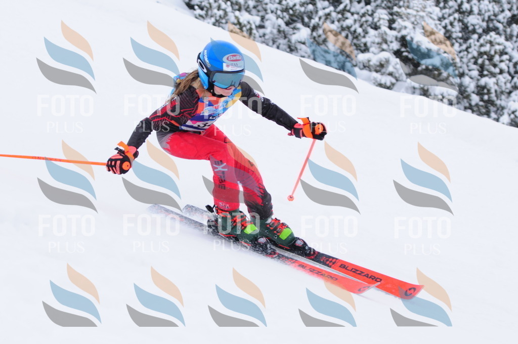 C3705 | holidayphoto