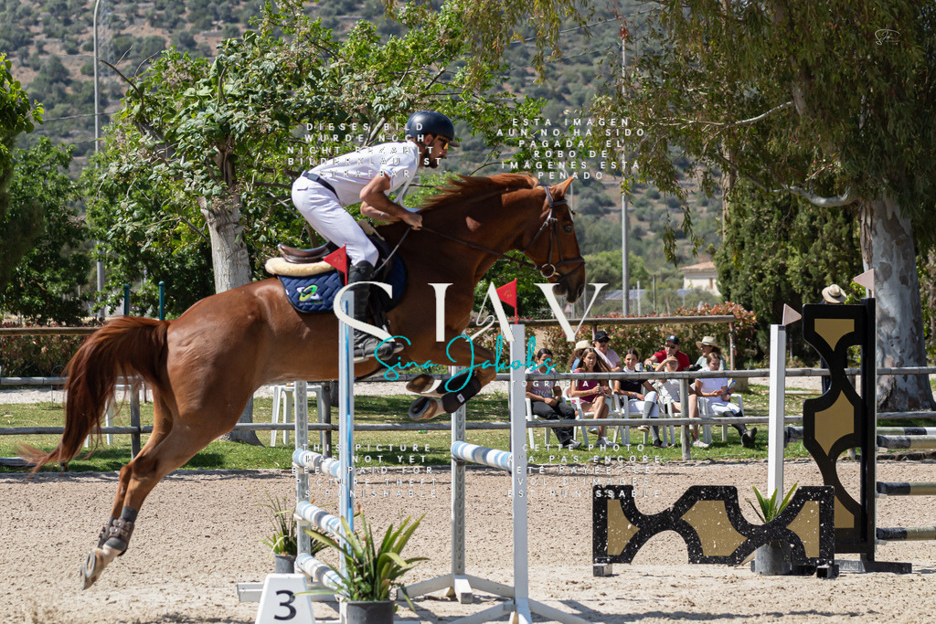 IMG_0596 | s-jay-photography - Realisiert mit Pictrs.com