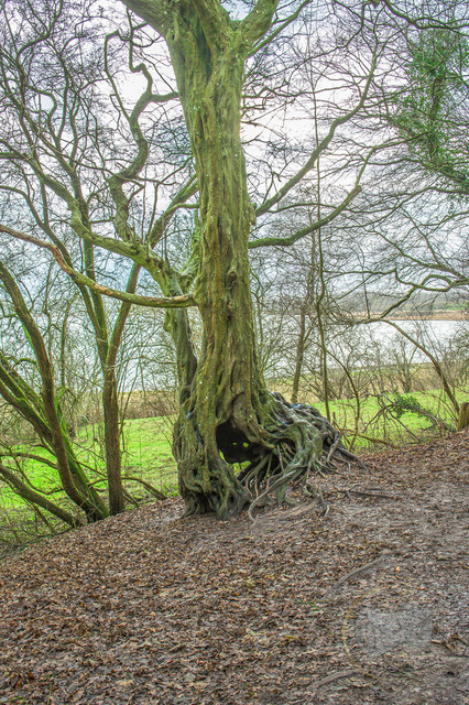 _DSC9142 | Shop für Prints Landschaftsfotografie Sächsische Schweiz Naturfotografie in Thüringen Fotos vom Findlingspark Nochten Kloster Sankt Marienstern Bilder Festung Königstein PanoramaRhododendronpark Kromlau FotogalerSchleswig-Holstein Küstenlandschaften