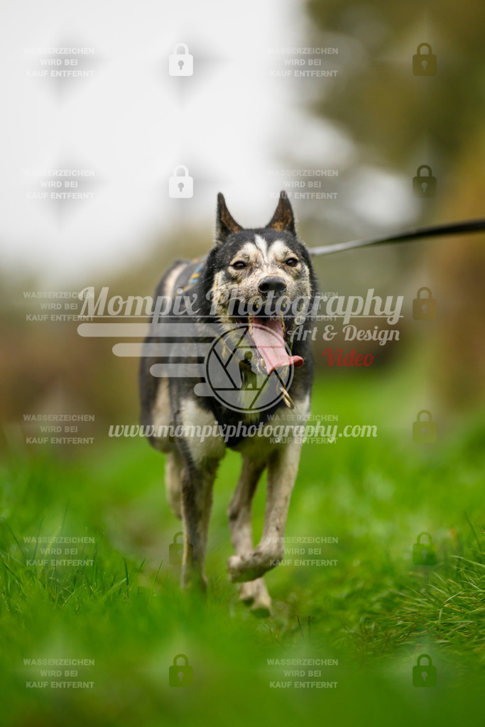 MompixPhotography_20TSB_E8_Bike-165 | PayLife
