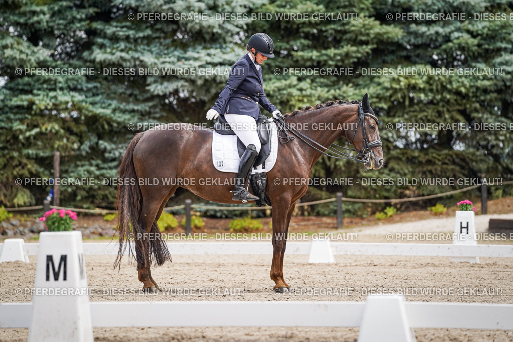 DSC04013 | Pferdegrafie