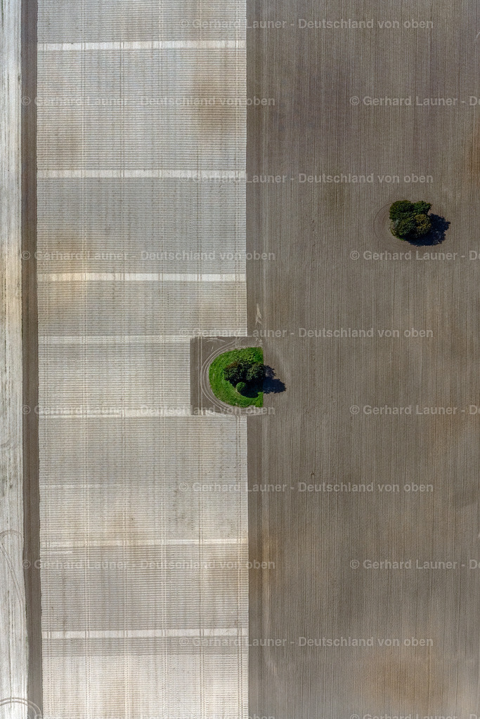 4062157 | INSEL POEL 08.09.2021 Senkrecht- Luftbild aus der Satelliten- Perspektive vom Baum- Insel auf einem bearbeiteten und umgepflügten Feld auf der Insel Poel im Bundesland Mecklenburg-Vorpommern, Deutschland. // Vertical aerial view from the satellite perspective of the island of trees in a worked and plowed up field in island Insel Poel in the state Mecklenburg - Western Pomerania, Germany. Foto: Gerhard Launer