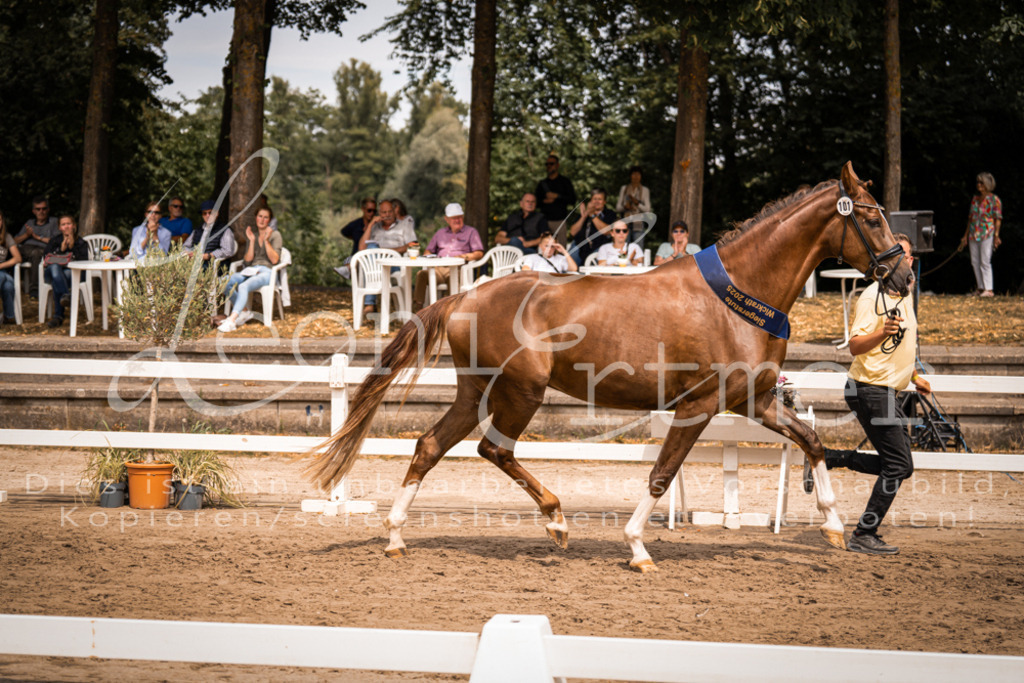 3.Fr00265 | Leoni Ertmer Photography - Realisiert mit Pictrs.com