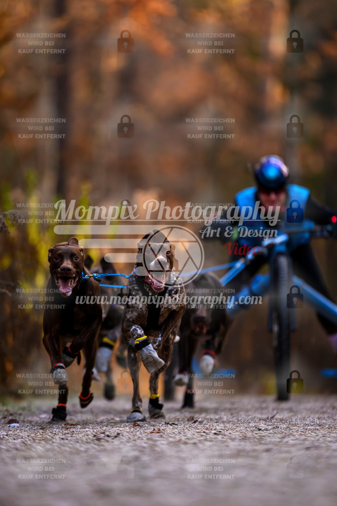 MompixPhotography_DM_AKDM_SO_2025_Wagen-43 | PayLife