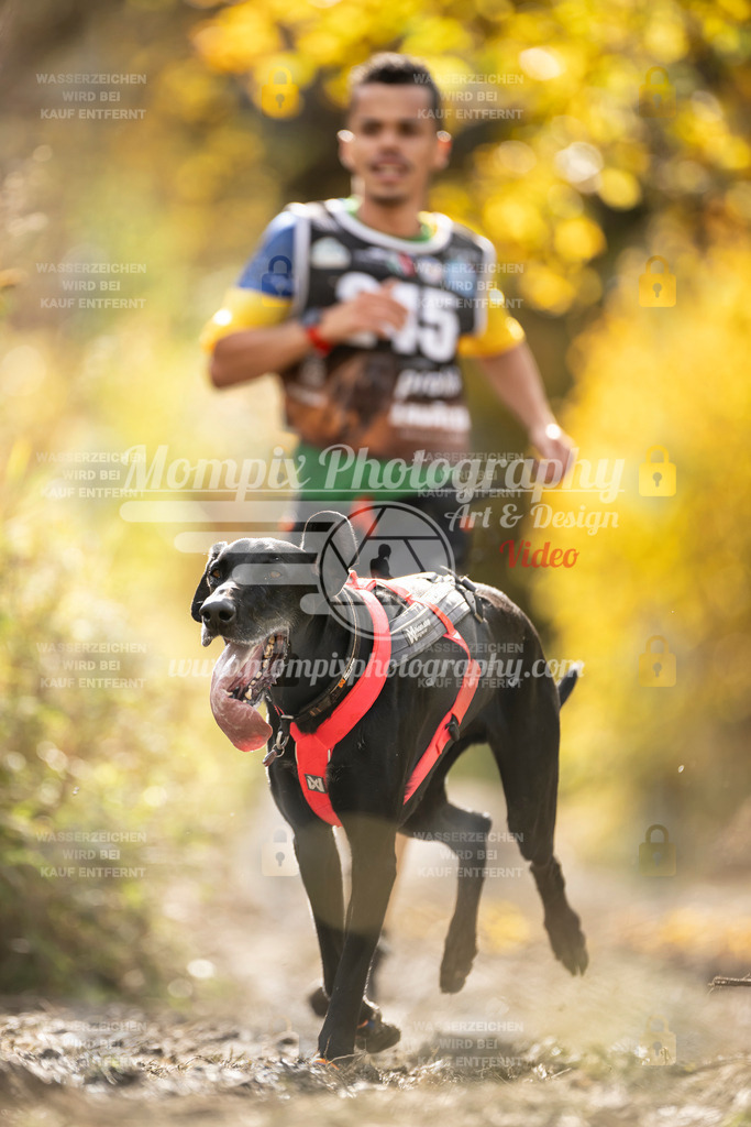 MompixPhotography_ICF_WC_2024_SA_Run_-35 | PayLife