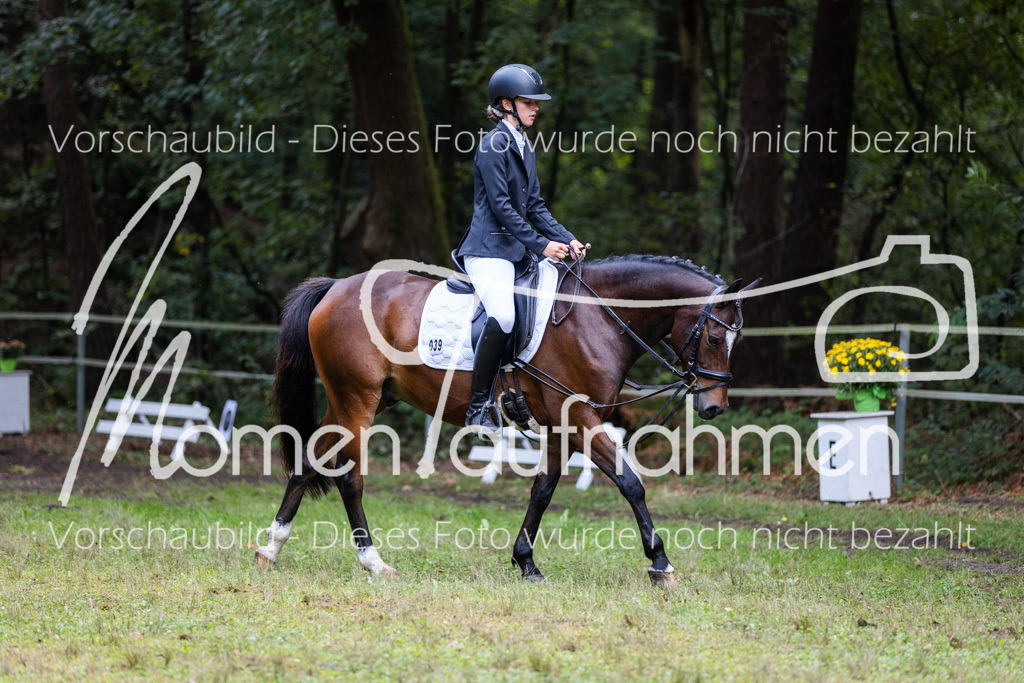 HB-Dressur-WB-024 | MomenTaufnahmen Pferdesportfotos