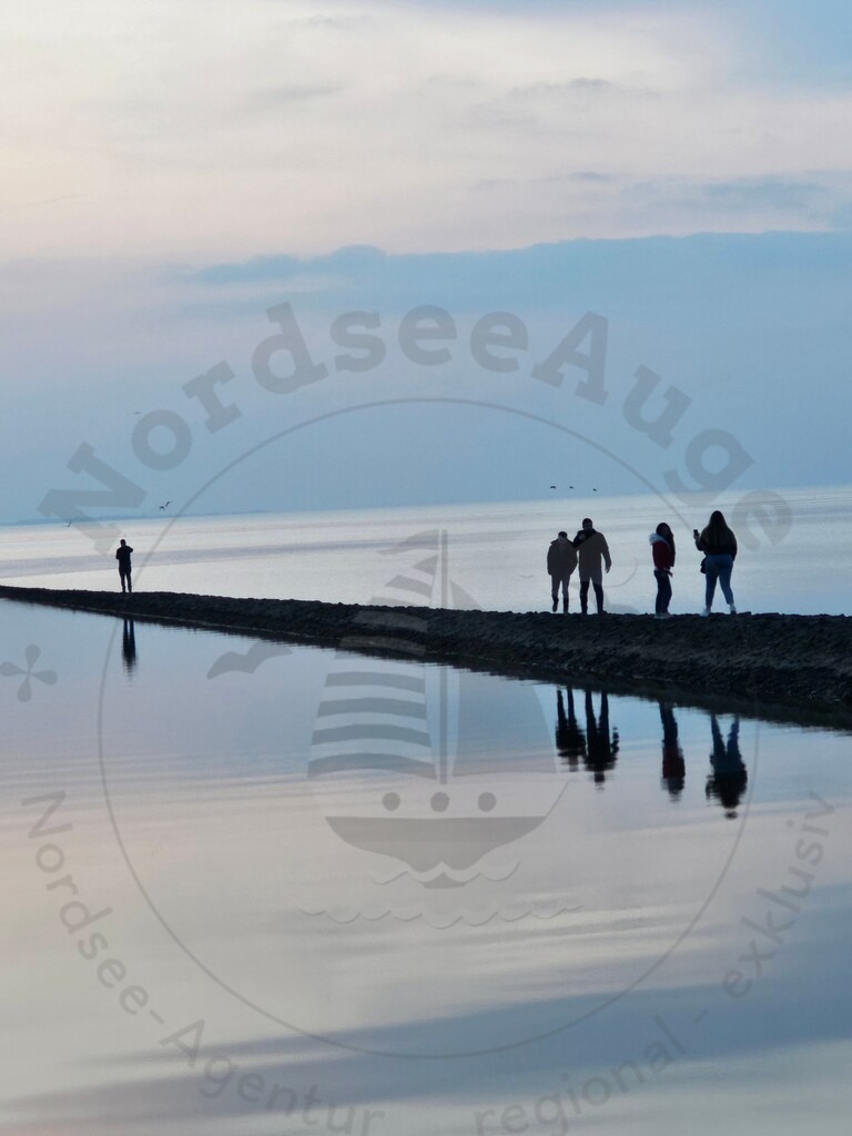 20240303_181033 | Nordseeauge Onlineshop Nordseebilder Nordseeshop Nordseefotos Nordseeurlaub Nordseeerleben Nordseemomente UrlaubfuerzuHause Meerbilder Strandurlaub Acrylglasbilder Leinwandbilder Nordseekleidung Nordeefanartikel Nordseegeschenke Geschenkeshop - Realisiert mit Pictrs.com