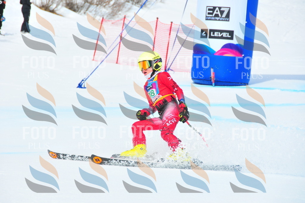 DSC_1906 | holidayphoto