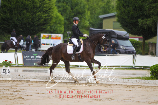 DKP40544 | Turniersportfotografie; Pferdefotografie; Dressurfotografie