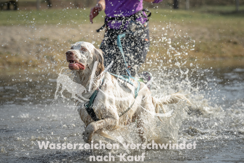 1047_ZZ99848 | kk-dogfotos