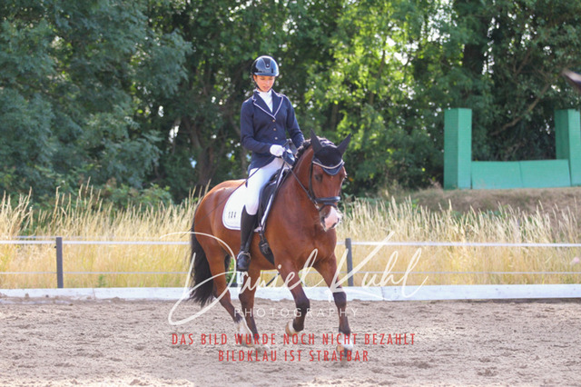 DKP45491 | Turniersportfotografie; Pferdefotografie; Dressurfotografie