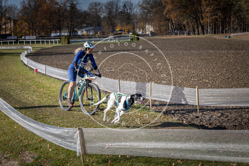 CaniXpix_DV3A7498 | Hundefotografie, Tierfotograf, Pfotenfotografie, Fotoshooting Hund, Hunde Portrait, Hundesport, Hundeportraits, Heideshooting, Hunde, Sportfotograf, Hundefotograf, Turnierhundsport, THS,  - Realisiert mit Pictrs.com