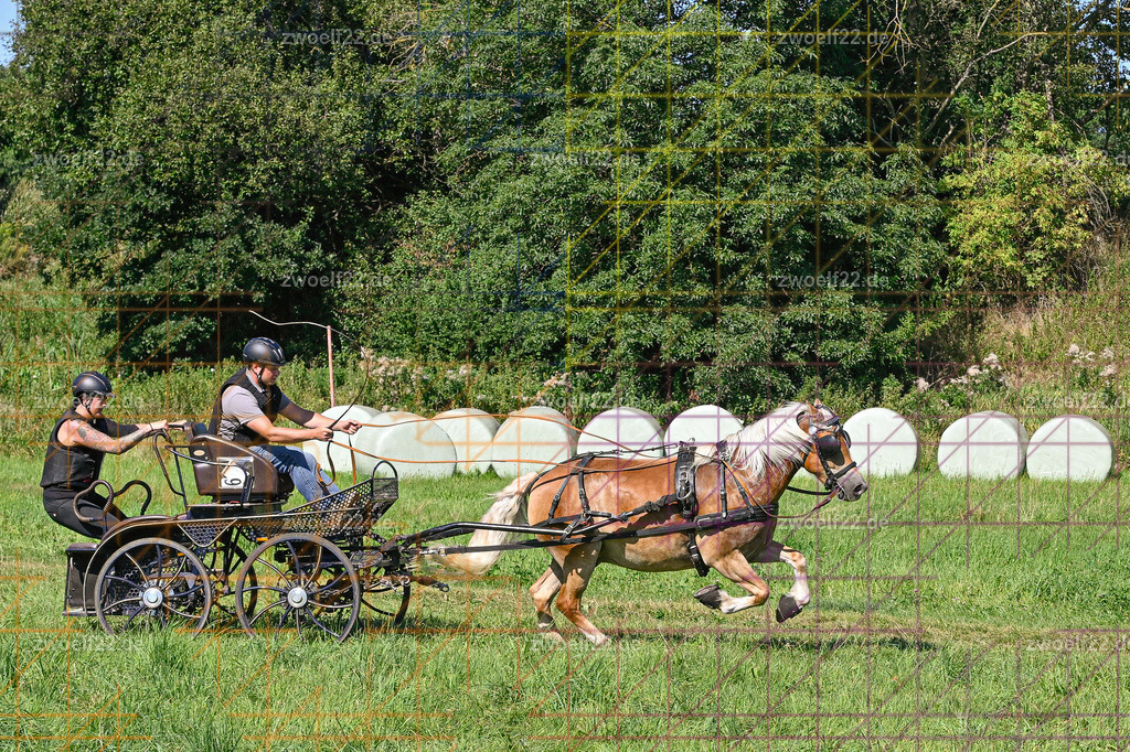 30 Jahre RFV Pulsnitz e.V., Pulsnitz am 09.08.2026 | 30Jahre Reit- und Fahrverein Pulsnitz e.V., Pulsnitz am 08.08.2026Zur 28. breitensportlichen Veranstaltung des RFV Pulsnitz e.V. fanden verschiedene Wettbewerbe in nahezu allen Disziplinen des Pferdesport statt.- Geländefahr-Wettbewerb - Realisiert mit Pictrs.com