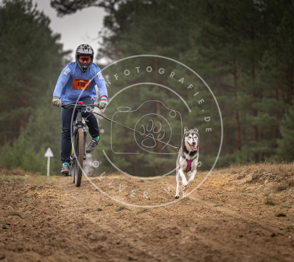 Pfotenfotografie_DV3A3880 | Hundefotografie, Tierfotograf, Pfotenfotografie, Fotoshooting Hund, Hunde Portrait, Hundesport, Hundeportraits, Heideshooting, Hunde, Sportfotograf, Hundefotograf, Turnierhundsport, THS,  - Realisiert mit Pictrs.com