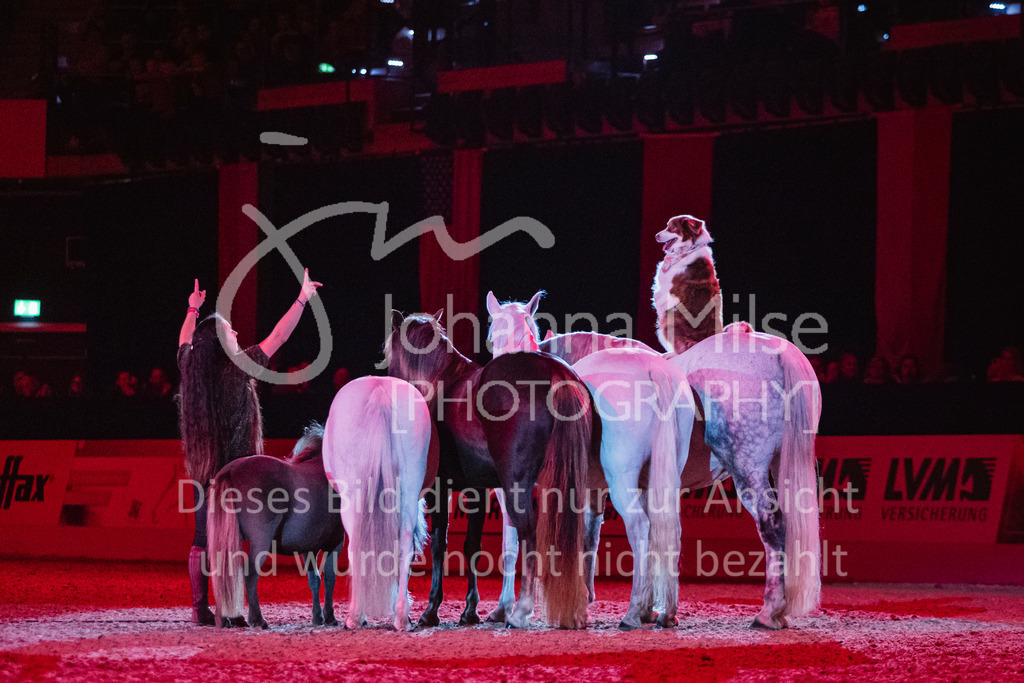 241102_Oldenburg_Show-341 | Deine schönsten Turniermomente als professionelle Fotos! Entdecke hochwertige Pferdesport-Fotografie im Online-Shop. Jetzt Fotos finden & bestellen!