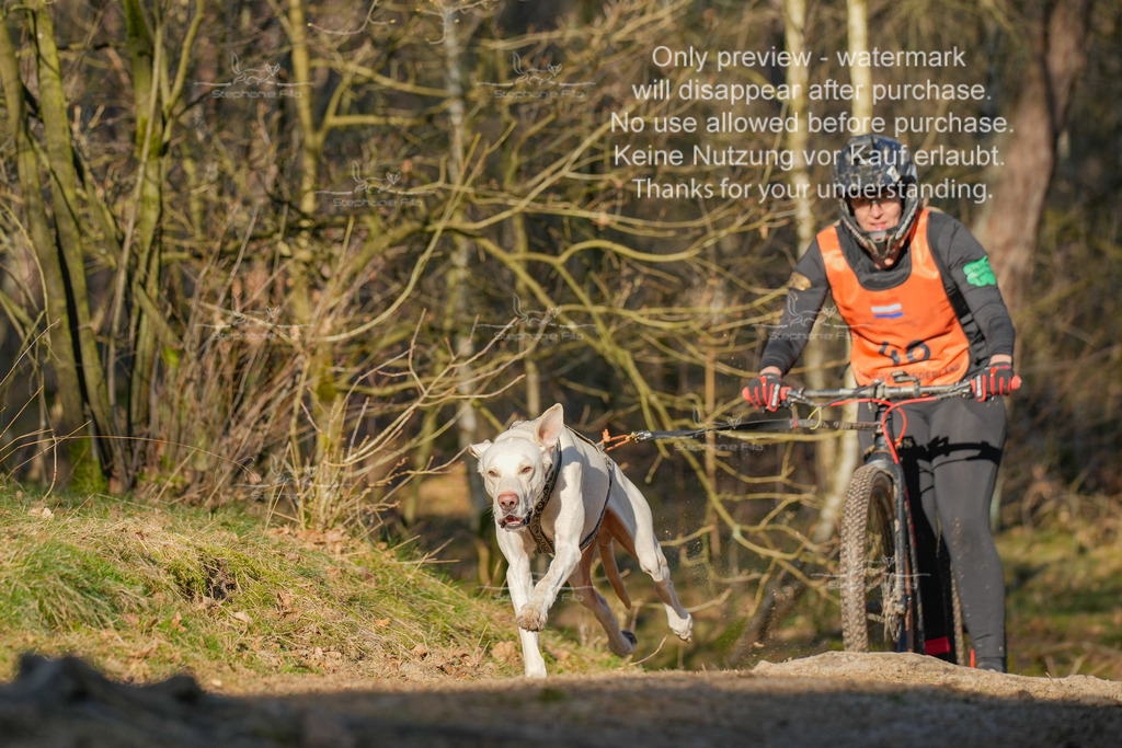 Sa_Scooter-209 | stephaniefillaphotographie - Realisiert mit Pictrs.com