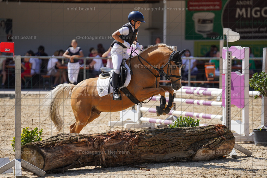 20240824-FAH08178 | Thierhaupten 2024, Bayerisches Landesponyturnier, Turnierbilder, Ponybilder, Turnierfotografen Bayern, Fotoagentur Herrmann