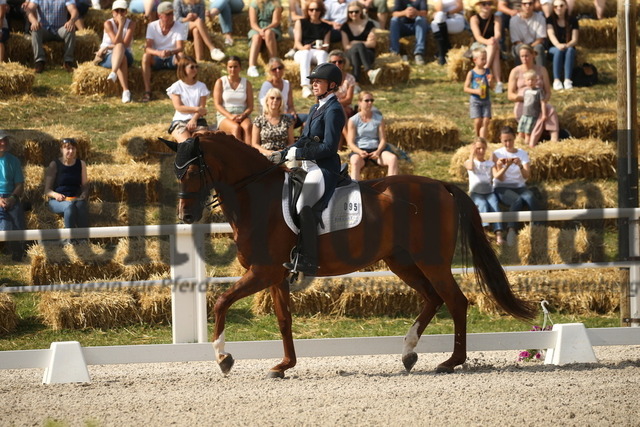 Birkhof_2022_GrandPrixSpecial_Nicole Casper_Birkhof_s Don Röschen FBW(2) | Alle Fotos der Reiterjournal Fotografin Doris Matthaes im Reiterjournal Online-Fotoshop. - Realisiert mit Pictrs.com