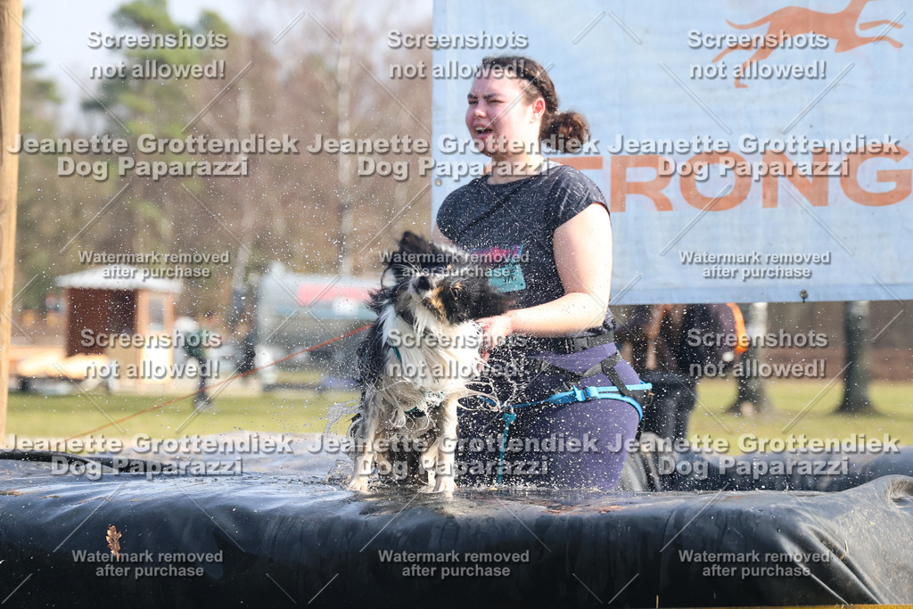 Dog Paparazzi - Strongdog North Mrz26-1624 | Dog Paparazzi Jeanette Grottendiek Fotografie & Videografie - Realisiert mit Pictrs.com