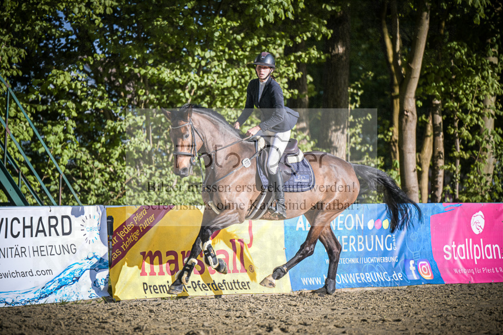 DOS_4447 | Entdecke hochwertige Reitturnierfotos von Foto Oger. Professionell, emotional und authentisch – jetzt Lieblingsmomente im Shop bestellen.Deutschlandweite Turnierfotografie. - Realisiert mit Pictrs.com