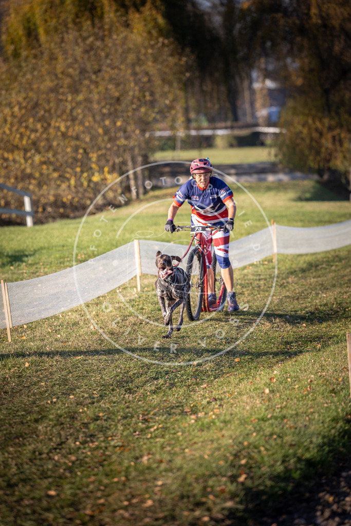 CaniXpix_DV3A1308 | Hundefotografie, Tierfotograf, Pfotenfotografie, Fotoshooting Hund, Hunde Portrait, Hundesport, Hundeportraits, Heideshooting, Hunde, Sportfotograf, Hundefotograf, Turnierhundsport, THS,  - Realisiert mit Pictrs.com