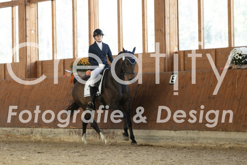 IMG_4754 | Creatify Fotografie