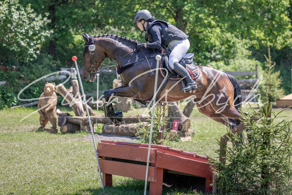 20260523-_3LI8455 | Tierfotografie Pferde, Hunde, Katzen, Haustiere.
Turnierfotografie Reitturniere, Reiten, Springreiten, Dressur in Hanau, dem Main-Kinzig-Kreis und dem Rhein-Main- Gebiet um Frankfurt