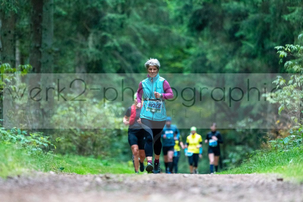 Rennsteiglauf 2021 | Marathon Neuhaus/Rwg. - Schmiedefeld