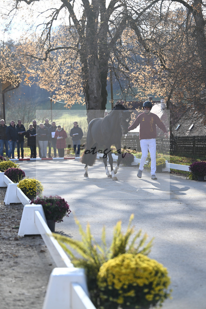 Impressionen_47253952 | hf-fotografie - Realisiert mit Pictrs.com