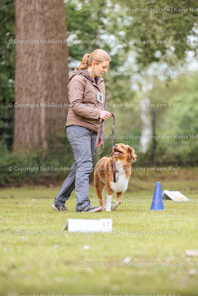 RO-Blumenthal-2026-Nickbest-Hundefotografie-3392 | Dein Hund! Dein Moment! Deine Erinnerungen! Hundefotografie in Bremen Blumenthal. Ich fange die besonderen Momente deines Vierbeiners ein – ob Indoor mit Blitzanlage oder in der freien Natur. Sicher dir dein Moment und dein Termin für eure Erinnerungen.