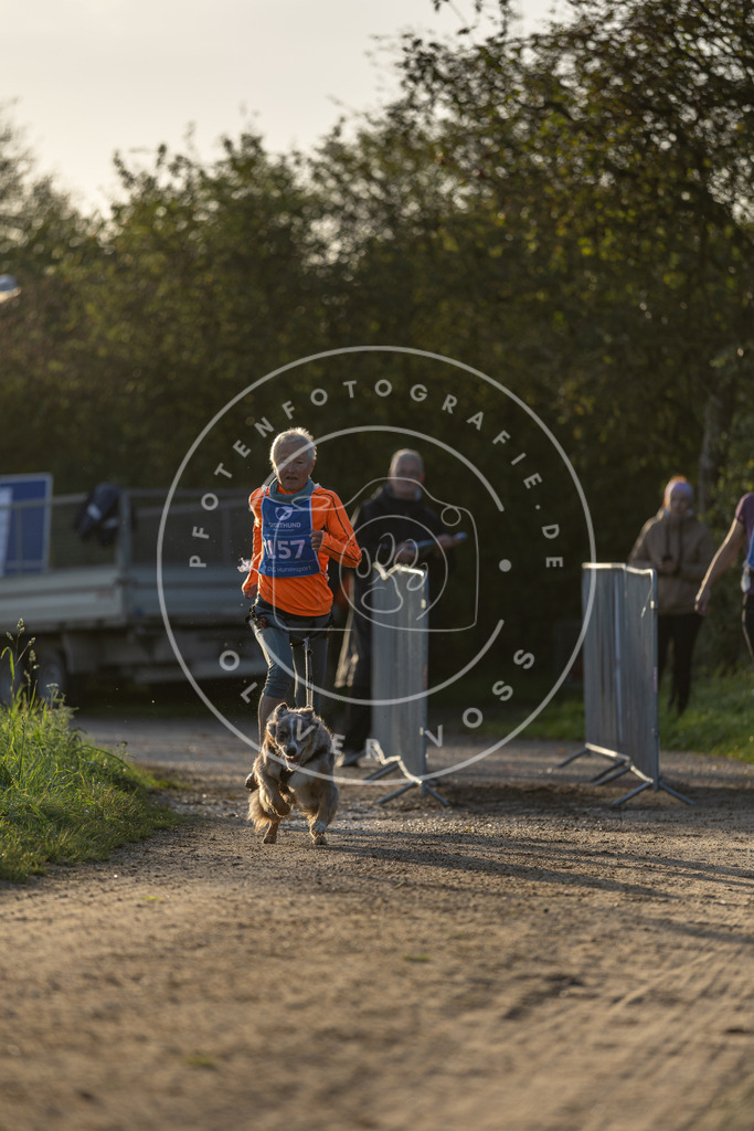 Pfotenfotografie.de_DV3A2583 | Hundefotografie, Tierfotograf, Pfotenfotografie, Fotoshooting Hund, Hunde Portrait, Hundesport, Hundeportraits, Heideshooting, Hunde, Sportfotograf, Hundefotograf, Turnierhundsport, THS, canicross - Realisiert mit Pictrs.com