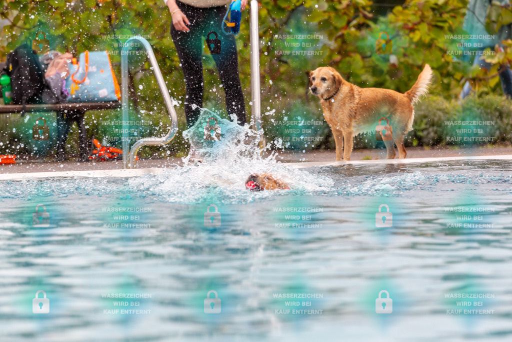 _HP_6122_1000o | HetPix, HetPix Fotodesign, Fotografie, Fotodesign, Webshop, Sportfotografie, Portraitfotografie, Onlineshop, Sportfotografie, Polch, Motorsportfotografie, Eventfotografie