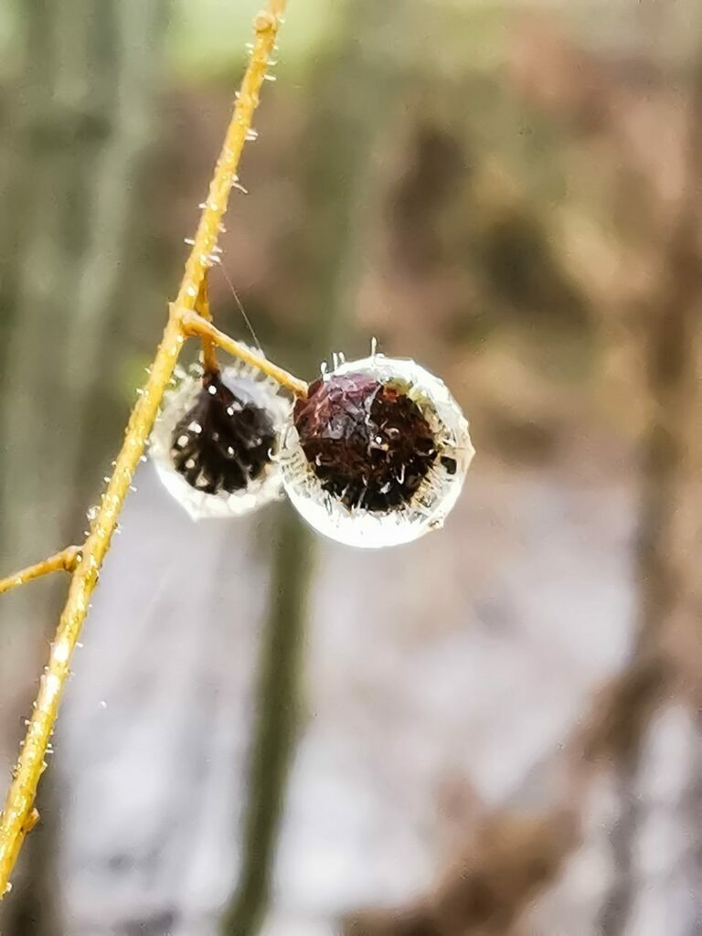 PSX_20221201_232547 | mtkfoto_ - Realisiert mit Pictrs.com