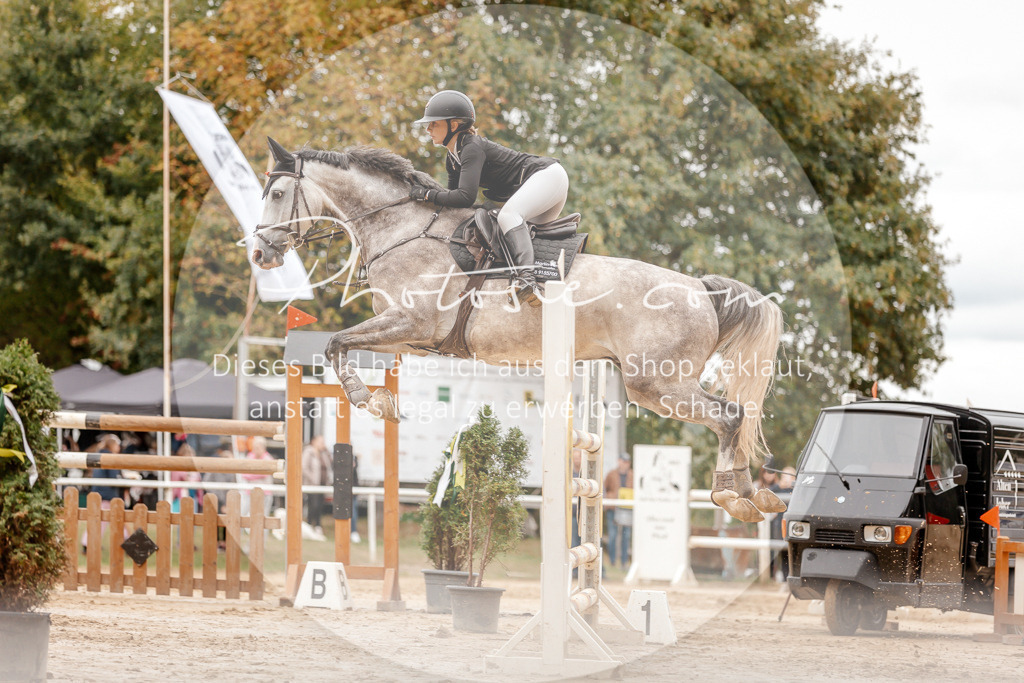 3I6A8631 | Stimmungsvolle Portraits und Reitsportfotografie im Ruhrgebiet und im Münsterland.

Pferdefotografie, Hundefotografie, Tierfotografie, Reportagen, Portraits von Tier und Mensch, Turnierfotografie in Bochum, Recklinghausen, Marl, Haltern am See, Dülmen.. - Realisiert mit Pictrs.com