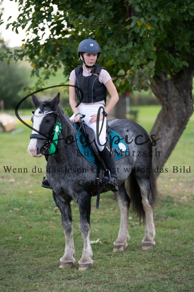 A7V03140 | Turnier/Reitfotograf