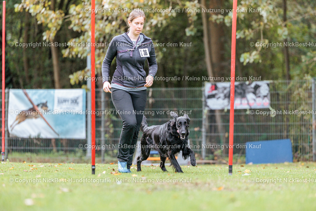 THS-HSV-Blumenthal-2026-Nickbest-Hundefotografie-2014 | Dein Hund! Dein Moment! Deine Erinnerungen! Hundefotografie in Bremen Blumenthal. Ich fange die besonderen Momente deines Vierbeiners ein – ob Indoor mit Blitzanlage oder in der freien Natur. Sicher dir dein Moment und dein Termin für eure Erinnerungen.