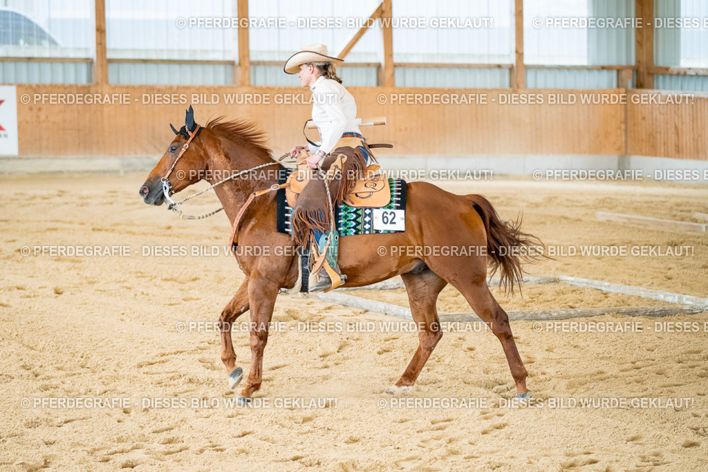 DSC07379 | Pferdegrafie