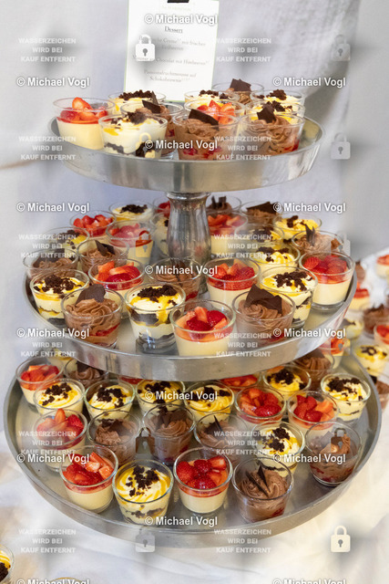 TAM25_Eröffnung__Michael-Vogl_002_3284 | Tage Alter Musik Regensburg Ulrichskirche Eröffnung Kulturreferat Foto: Michael Vogl