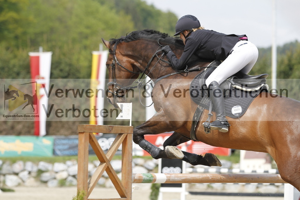 _MG_3861 | equestrian-live-com