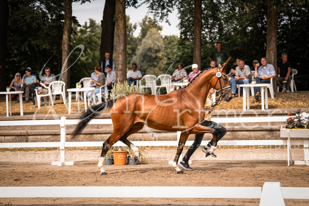 6.Fr00123 | Leoni Ertmer Photography - Realisiert mit Pictrs.com