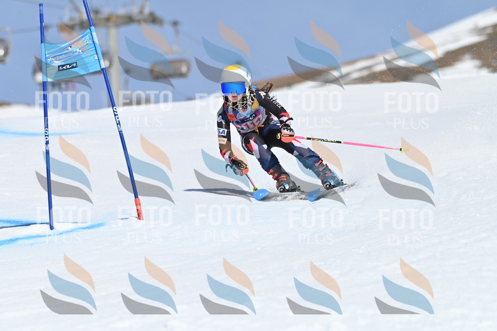 BGV_9703 | holidayphoto