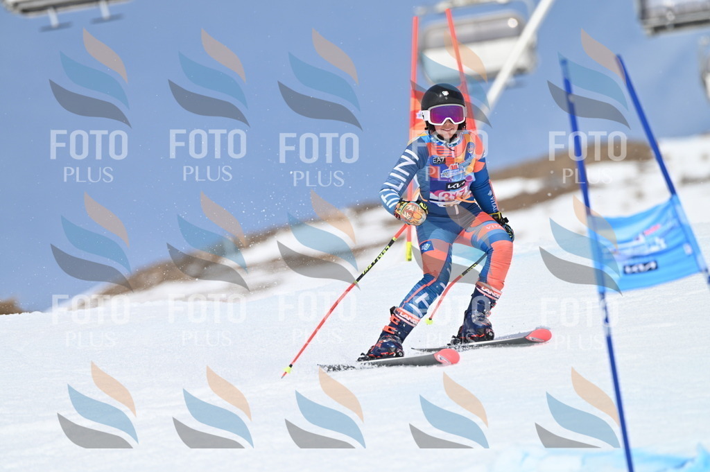 BGV_3055 | holidayphoto